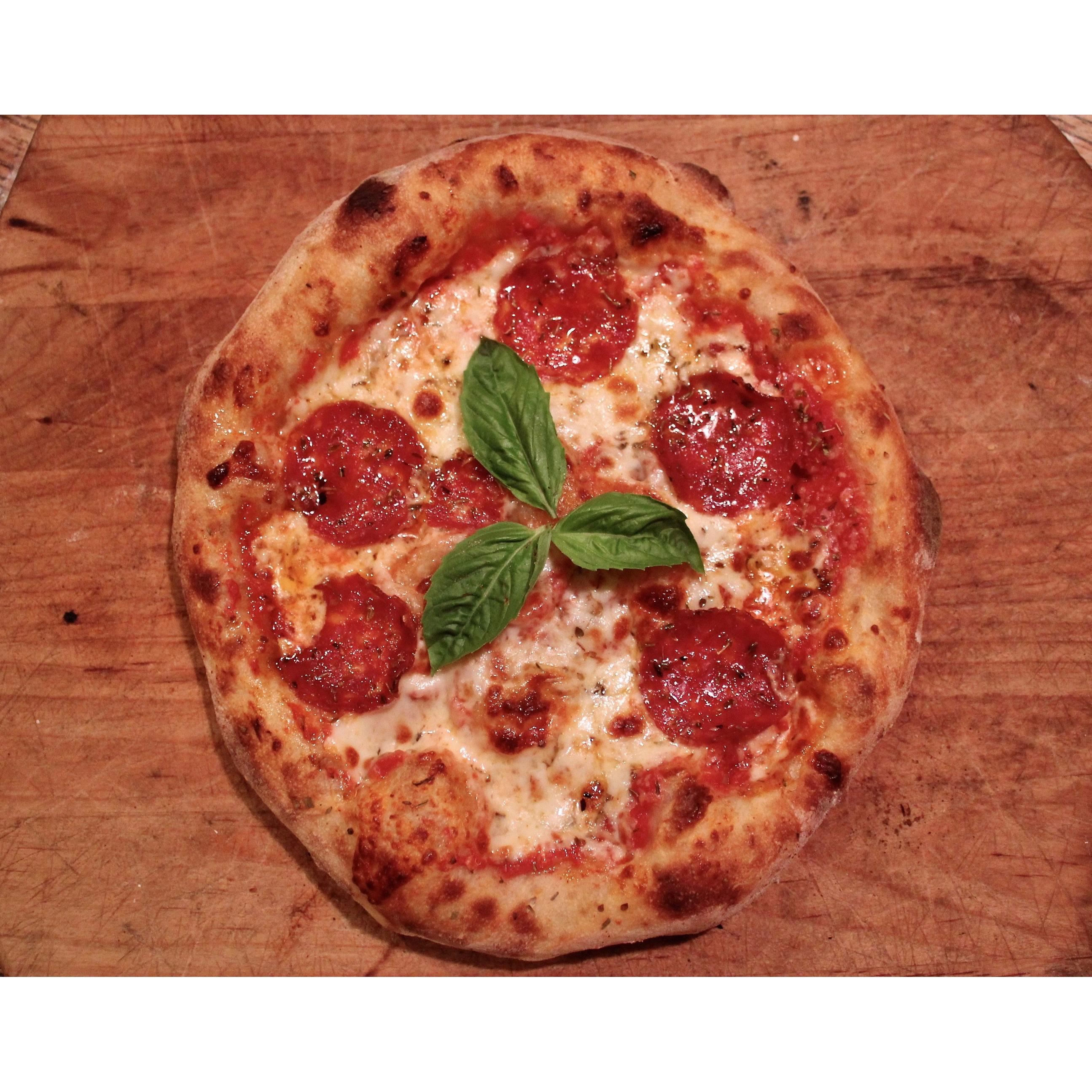 Fontana Forni Mangiafuoco Wood Countertop Outdoor Pizza Oven FTMF-R IMAGE 6