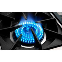 Capital 48-inch Freestanding Dual-Fuel Range COB488-N IMAGE 3