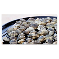 Big Green Egg Half Moon Perforated Grid for Large Egg PGHL IMAGE 2
