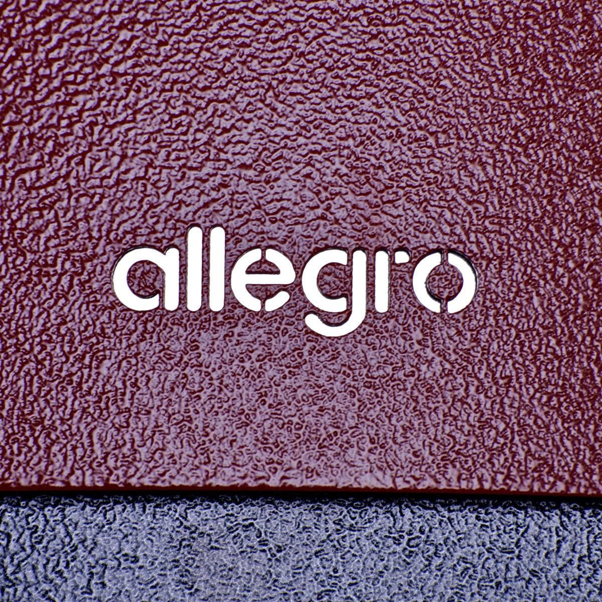 Alfa Wood Allegro Countertop Outdoor Pizza Oven FXALLE-LROA-T IMAGE 5