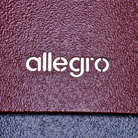 Alfa Wood Allegro Countertop Outdoor Pizza Oven FXALLE-LROA-T IMAGE 5