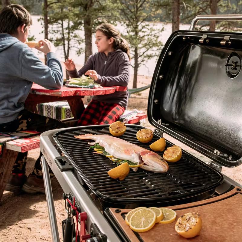Weber Traveler RV Gas Grill 9011701 IMAGE 6