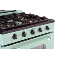 Unique Appliances 30-inch Freestanding Gas Range UGP-30CR OF2 LG IMAGE 13