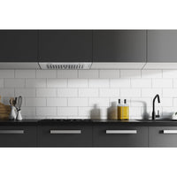Hauslane 30-inch Chef Custom Insert Range Hood IN-R100SS-30 IMAGE 2