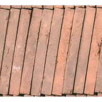 Fontana Forni Fontana Forni Saputo Biscotto Pizza Stone SET-SS-M IMAGE 1