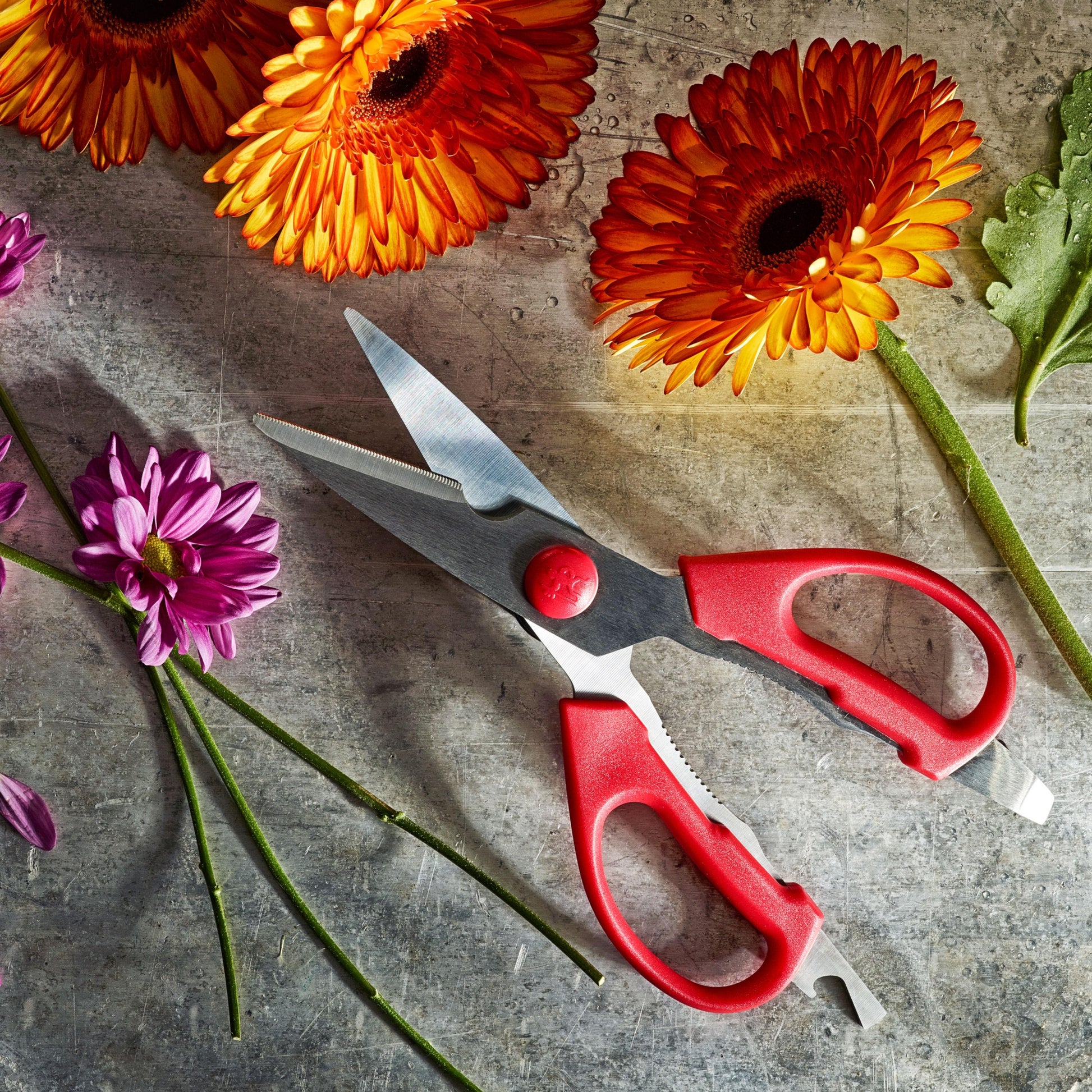 Henckels Multi-purpose shears 1016038 IMAGE 2