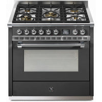 Steel Ascot 90 Dual-Fuel Range with 5 Burners AQ9S-4M-AN-C IMAGE 1
