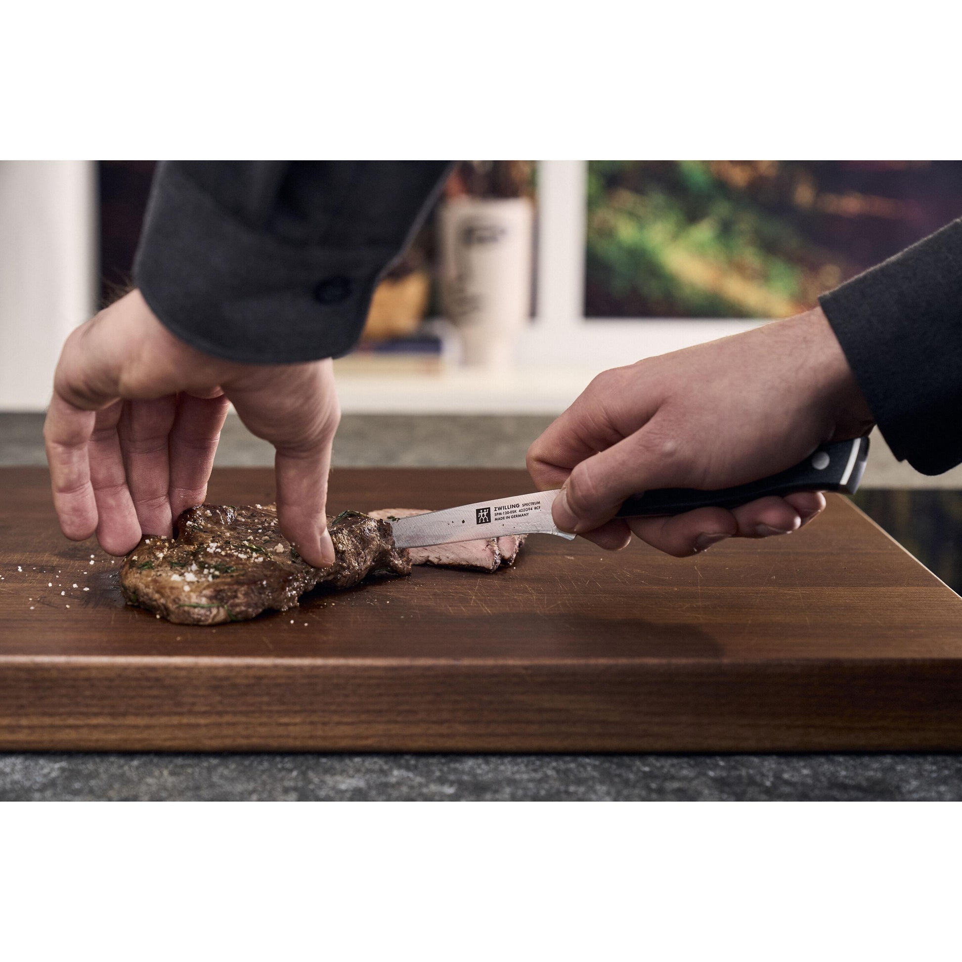 Zwilling Spectrum Steak Knives set - 4 pc 1033085 IMAGE 4