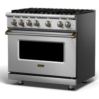 Viking 36-inch Freestanding Gas Range with GourmetGlo™ VGR536-6BSSBBLP IMAGE 1