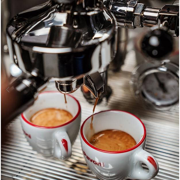 La Pavoni Botticelli Specialty Semi-Professional Espresso Machine LPSBSS13US IMAGE 10