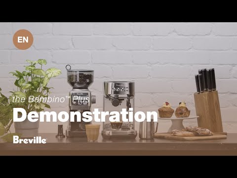 Breville the Bambino™ Plus Espresso Machine BES500OLT1BNA1 EXTERNAL_VIDEO 2