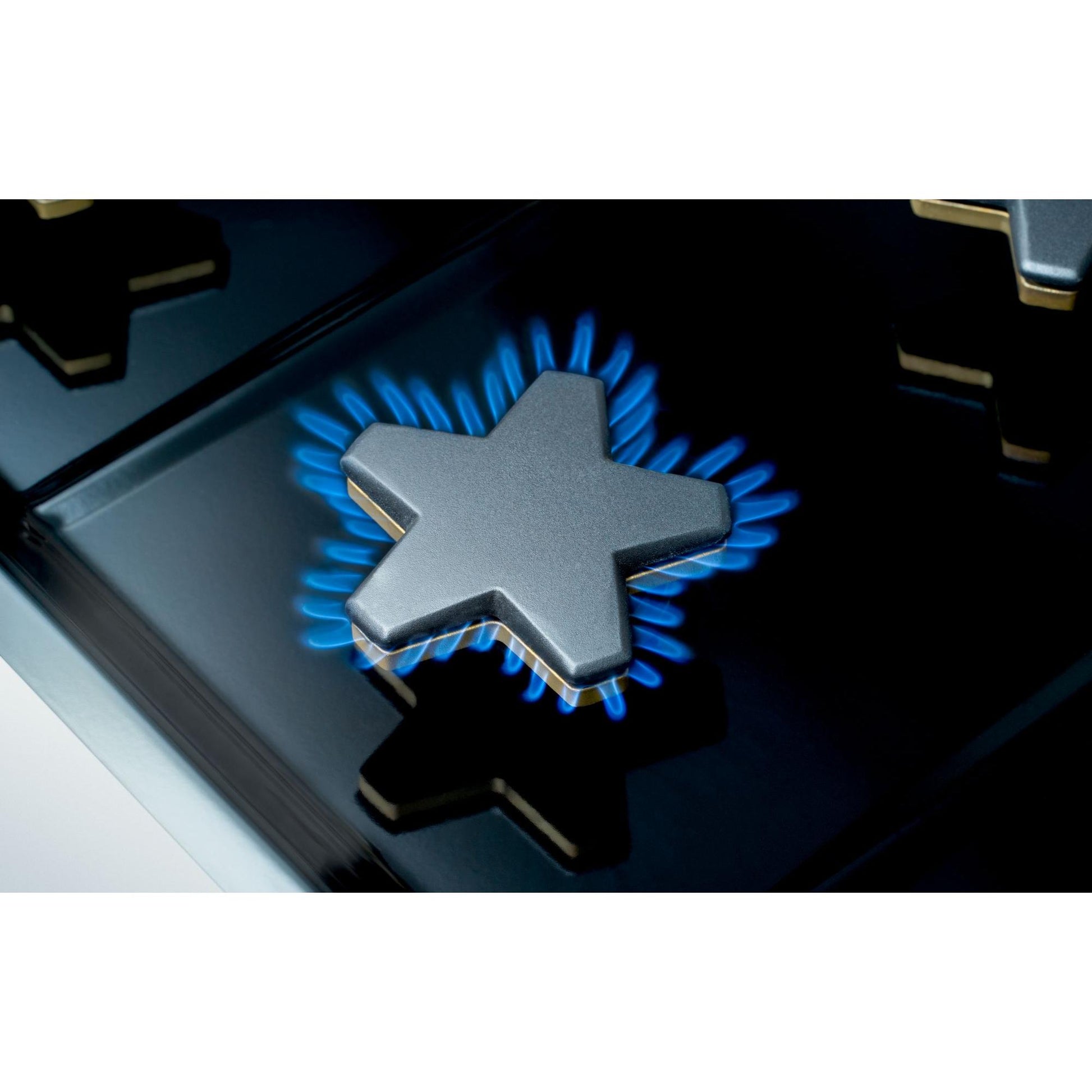 Thermador Ranges Dual Fuel PRD364WDHC IMAGE 4