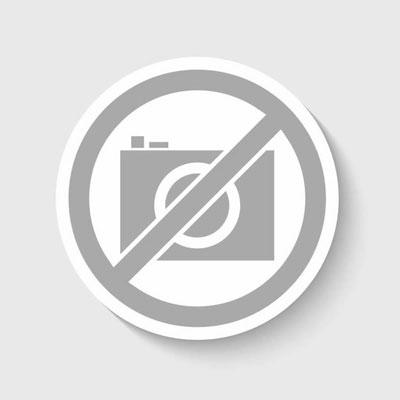 Falmec Replacement Carbon Zeo filter KACL.953#BF IMAGE 1