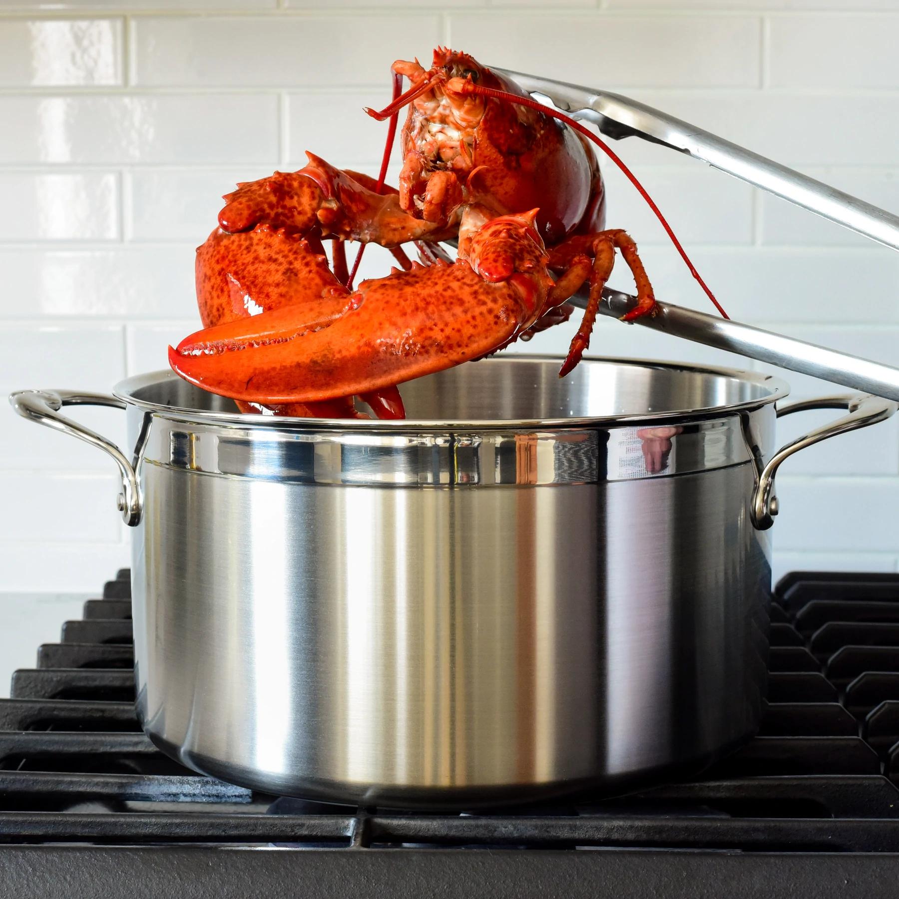 Hestan Professional Clad Stainless Steel Stockpot (8-Quart) 31567 IMAGE 2