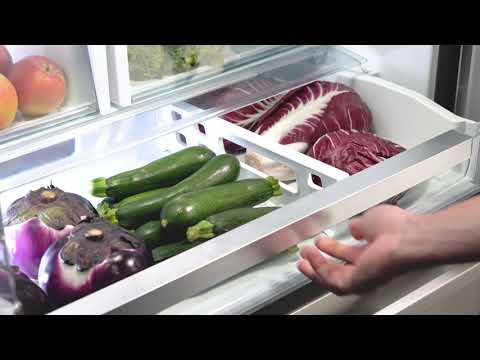 Bertazzoni 36-inch, 22.5 cu.ft. Freestanding French 4-Door Refrigerator with Ice Maker REF36FDFIXNV EXTERNAL_VIDEO 2