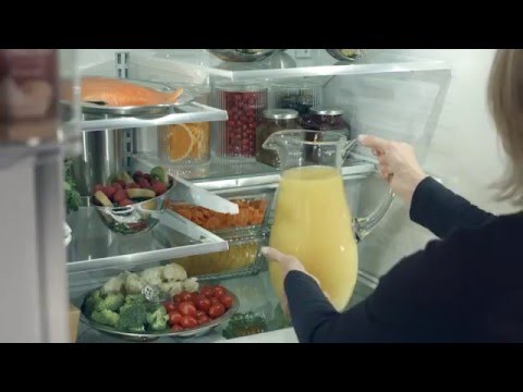 GE Refrigerators French 3-Door GWE19JGLBB EXTERNAL_VIDEO 1