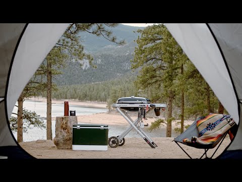 Weber Traveler Portable Gas Grill 9030001 EXTERNAL_VIDEO 1
