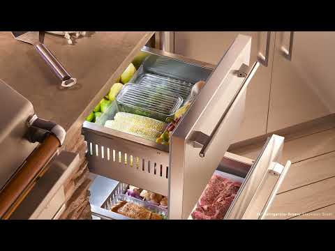 True Residential 300 Series 3.1 cu.ft. Beverage Dispenser TUR-15BD-L-SS-C EXTERNAL_VIDEO 1